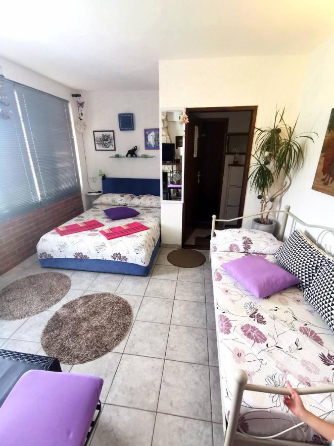 Lily Apartamento