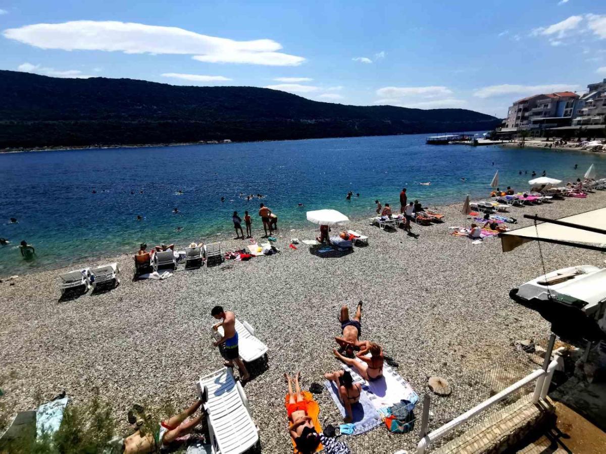 Lily * Neum