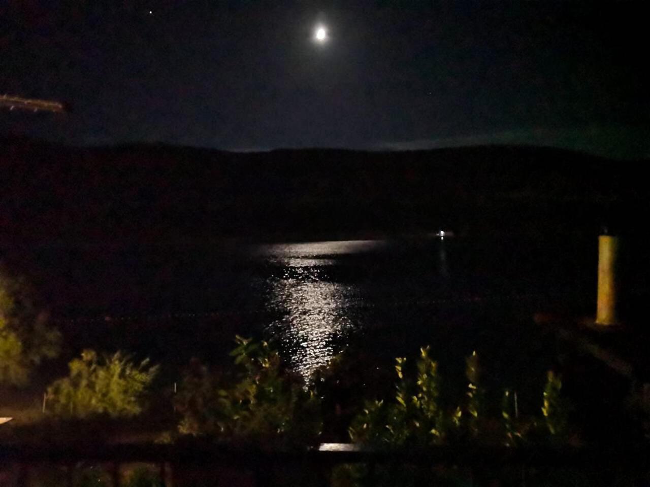 Lily * Neum