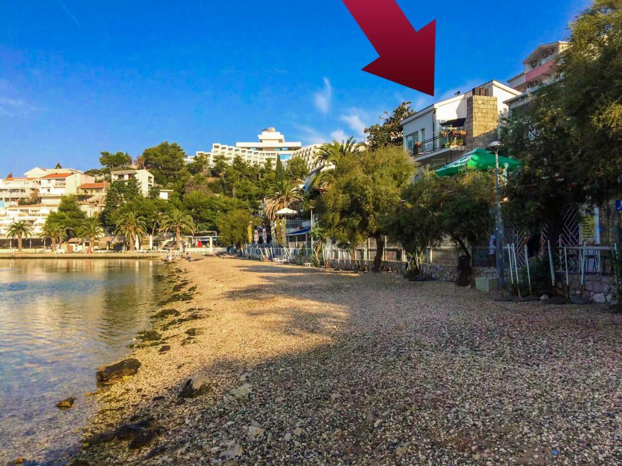 Lily * Neum